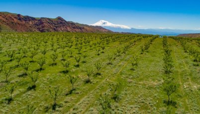 Revalcon ստարտափի մշակած տեխնոլոգիան պարզեցնում է ոռոգման ամբողջ գործընթացը. աշխատանքները վերահսկվում են մոբայլ և վեբ հավելվածներով