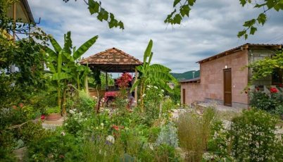 Սահմանամերձ Բերդավանում հիմնվել է հյուրատուն և էկզոտիկ այգի