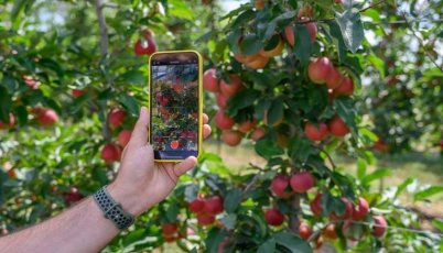 Հայկական նորագույն գործիքը կօգնի նախապես հաշվարկել գյուղմթերքի քանակն ու որակը