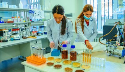 Երիտասարդ կենսաբանները սուրճի թափոնից օրգանական պարարտանյութ են ստացել