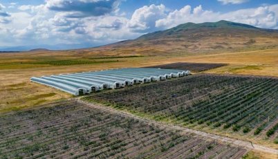 Կոտայքում մեկնարկել է բարձրարժեք մշակաբույսերի մշակություն