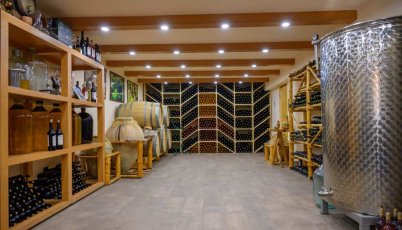 Բիզնես՝ զրոյից, Stepanyans' Gastro Yard։